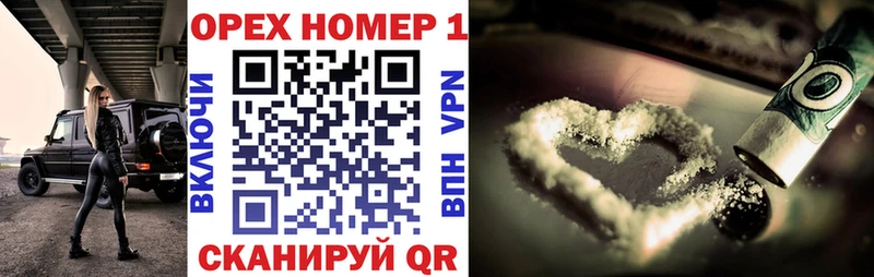 купить наркотик  мориарти формула  Cocaine Боливия  Новая Ладога 