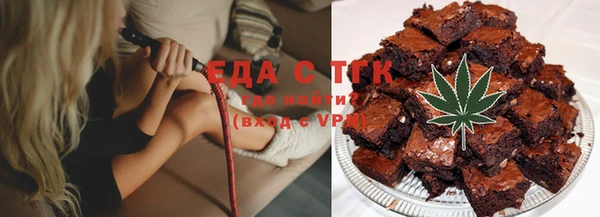 хмурый Ельня