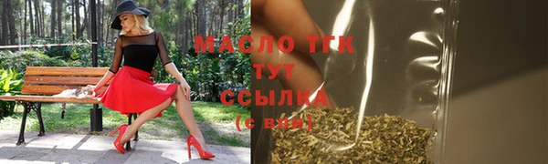 хмурый Ельня