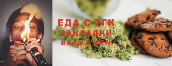 хмурый Ельня