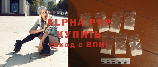 хмурый Ельня