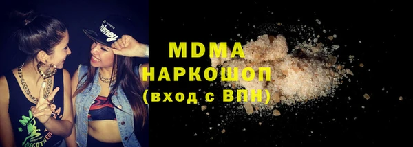 хмурый Ельня
