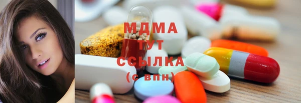 хмурый Ельня