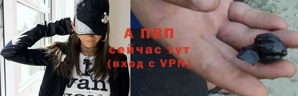 хмурый Ельня