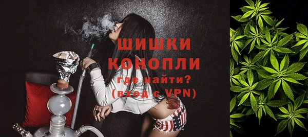 хмурый Ельня