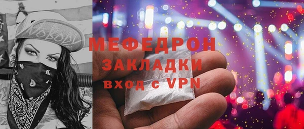 хмурый Ельня