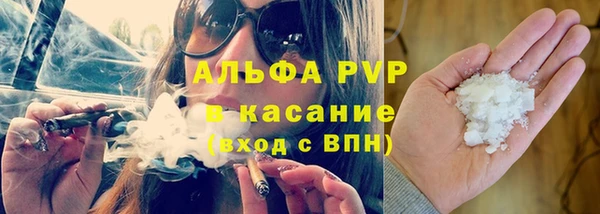хмурый Ельня