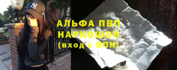 хмурый Ельня