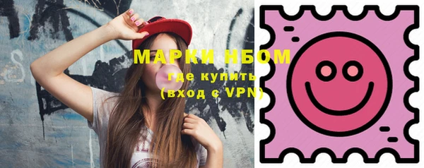 хмурый Ельня