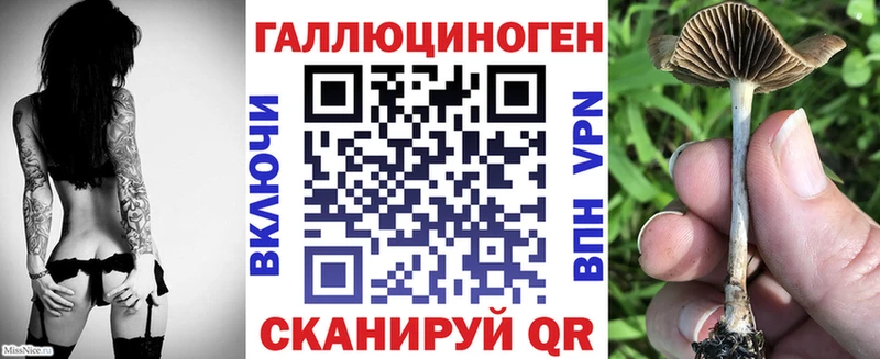 Галлюциногенные грибы MAGIC MUSHROOMS  Новая Ладога 